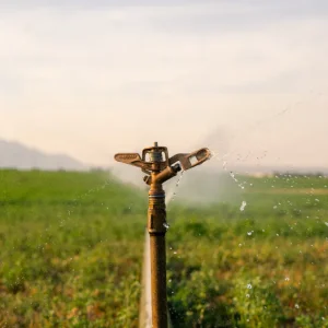 Drip Irrigation vs Sprinklers: Which System Fits Which Areas? — Efficient Farm Irrigation System at Work