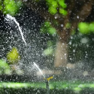 How Many Sprinkler Zones Does Your Lawn Need? — Garden Sprinkler Watering Lush Green Lawn