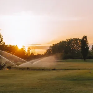 How to Prepare Your Yard for Irrigation Installation — Large Grass Yard with Sprinklers and Trees at Sunset