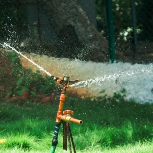 In-Ground Sprinkler System vs Hose-End Sprinklers: Which Fits Your Yard? — Garden Sprinkler Watering Green Lawn Outdoors