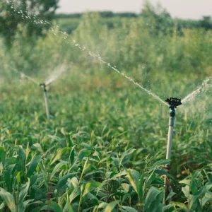 System design and planning — The Complete Guide — Efficient Sprinkler Irrigation in Lush Green Farm